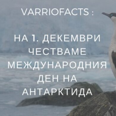 Днес 1-ви декември честваме Международния ден на Антарктида