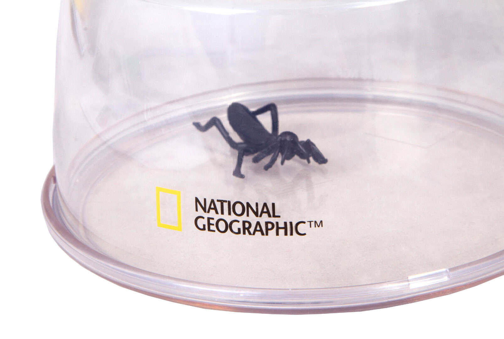 Микроскопична мравка върху прозрачна пластмасова чаша с логото на National Geographic.