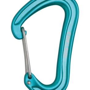 Карабинер Edelrid Nineteen G