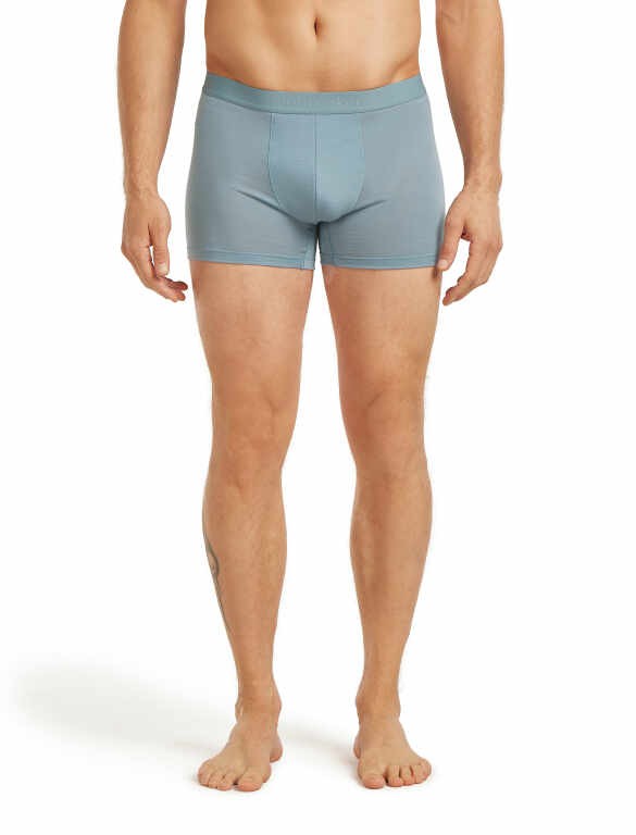 Мерино боксери Icebreaker Mens 125 Cool Lite Anatomica Boxers