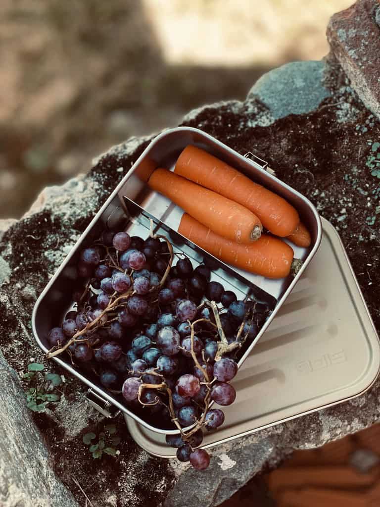 Здравословна закуска с моркови и грозде в метална кути.