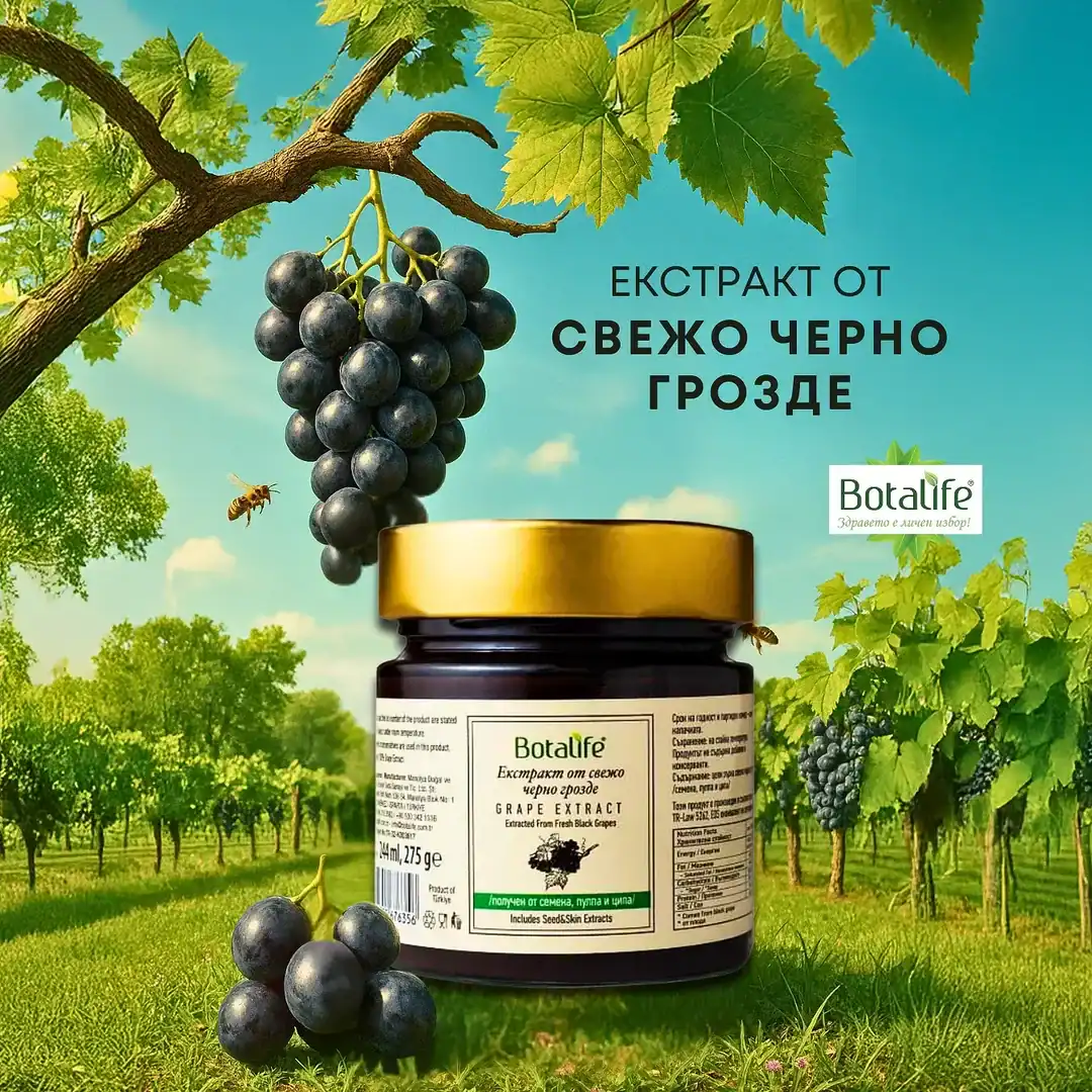 Екстракт от свежо черно грозде с гроздове и лозови листа.