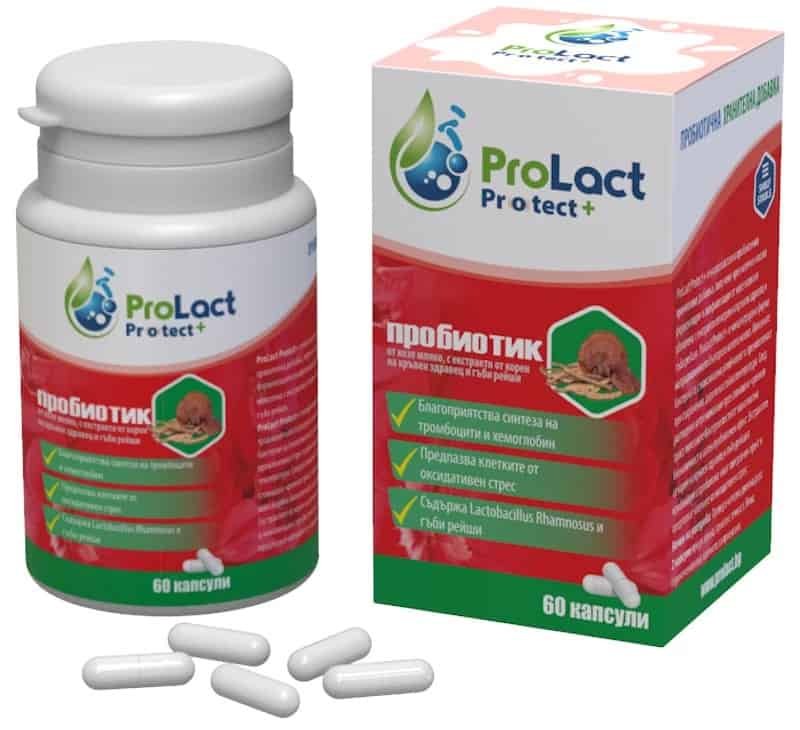 Prolact Protect+ капсули за подкрепа на здравето на червата.