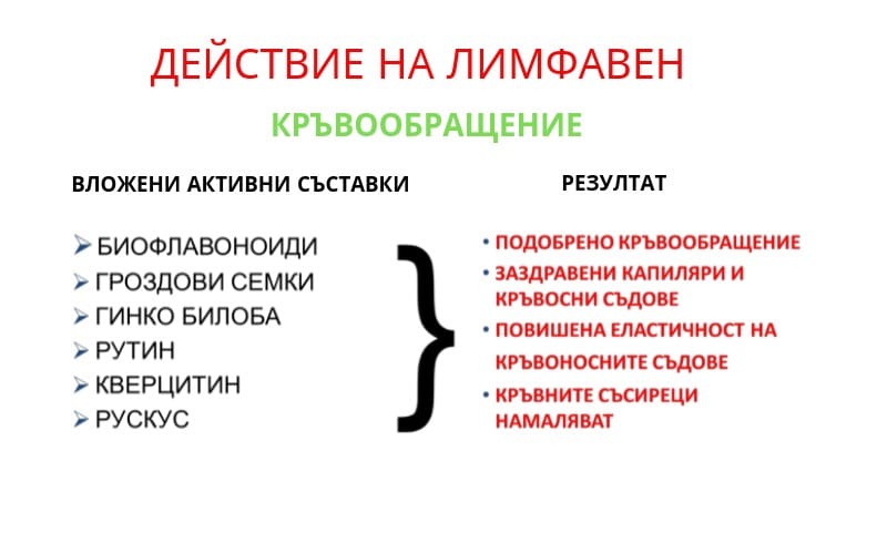 Лимфавен лимфно-венозно кръвообращение - Image 4