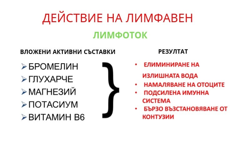 Лимфавен лимфно-венозно кръвообращение - Image 5