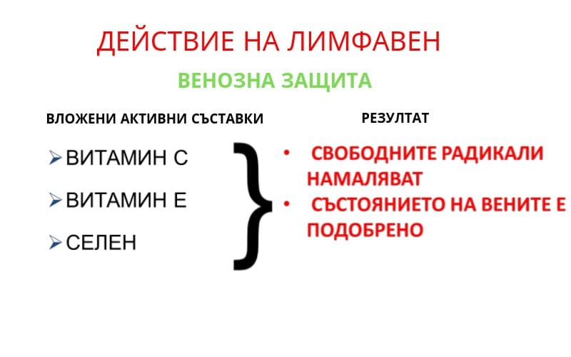 Лимфавен лимфно-венозно кръвообращение - Image 6