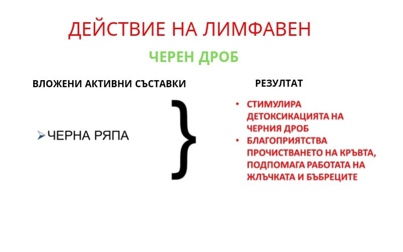 Лимфавен лимфно-венозно кръвообращение - Image 7