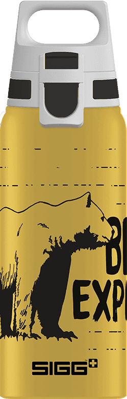 Бутилка SIGG Kids Water Bottle Shield WMB ONE Brave Bear